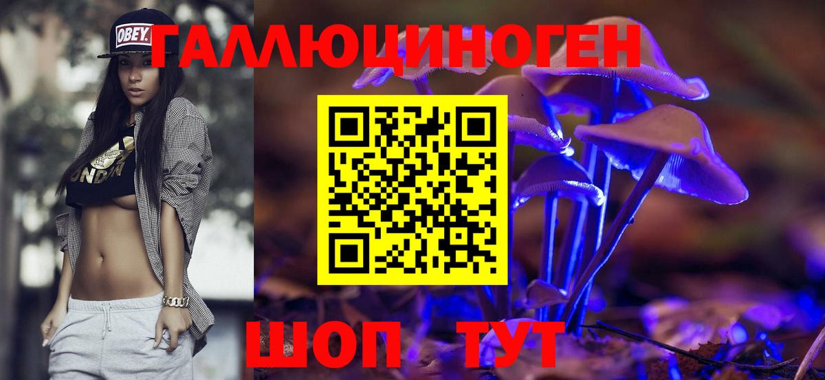 Майский  Псилоцибиновые грибы мицелий  Вход с VPN 
